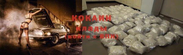 шишки Богородицк