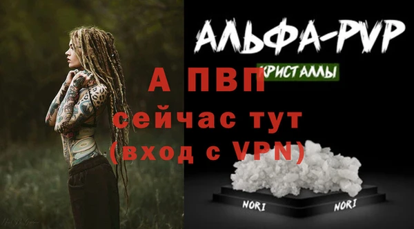 шишки Богородицк