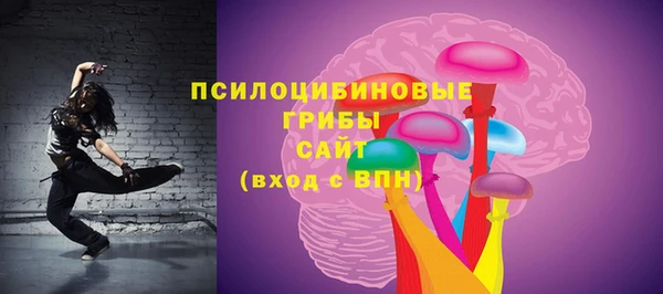 шишки Богородицк