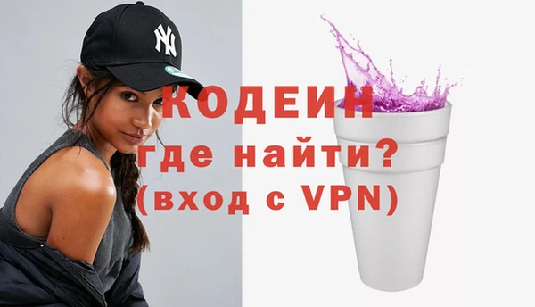 шишки Богородицк
