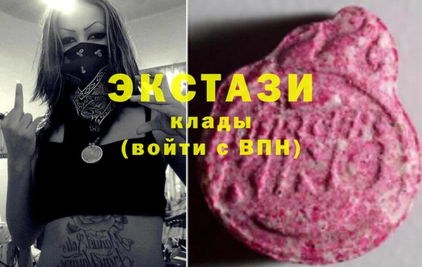 шишки Богородицк