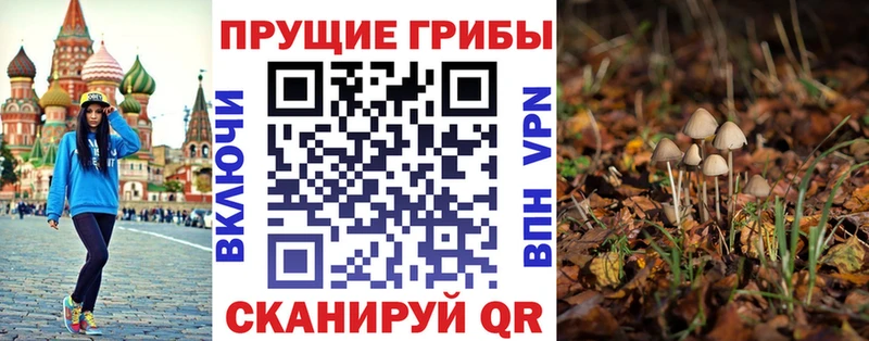Псилоцибиновые грибы Psilocybe Светлый