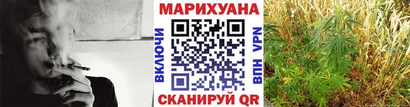 где купить наркоту  Светлый  Шишки марихуана тримм 